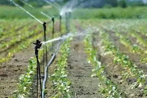 نحوه انتخاب پمپ آبیاری مناسب کشاورزی