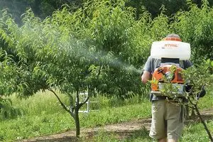 راهنمای کامل خرید سمپاش و نکات طلایی در مورد سمپاشی