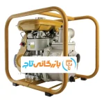 تصویر موتور پمپ طرح روبین RBP205