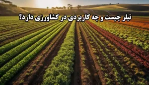 تیلر چیست و چه کاربردی در کشاورزی دارد؟