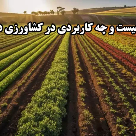 تیلر چیست و چه کاربردی در کشاورزی دارد